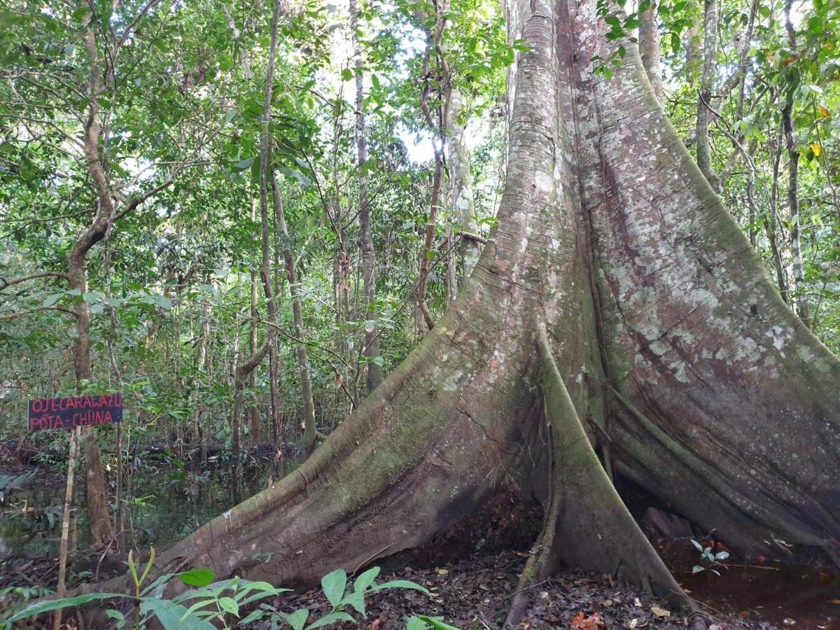 Reserva Natural Tucuchira Villa Santa Sofía Esterno foto